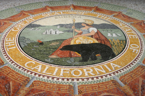 Junta Mozaic Estado de California photo
