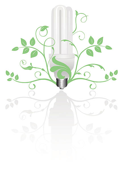 Light bulb vector art illustration