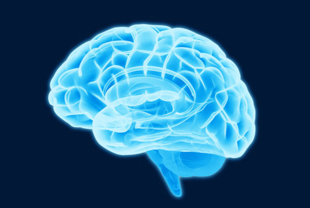 istock Blue brain scan illustration isolated on dark BG 969211104