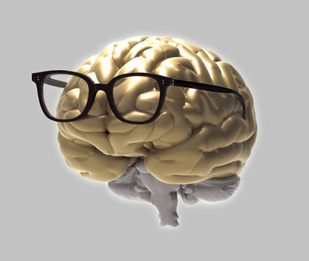 istock Gold 3D brain with glasses illustration 969215658