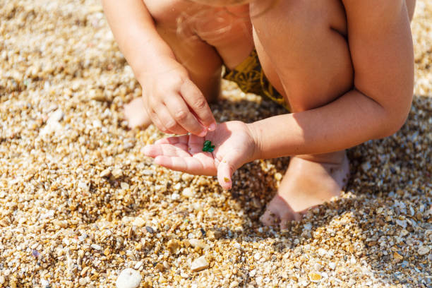 istock Little boy collects pebbles 969220416