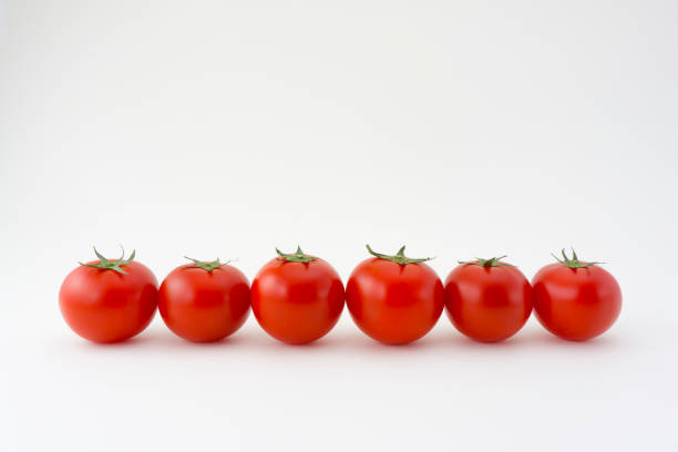 istock Tomato of white background 969223858