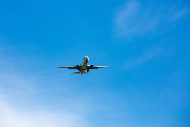 istock Large passenger plane flying in the blue sky 969226498