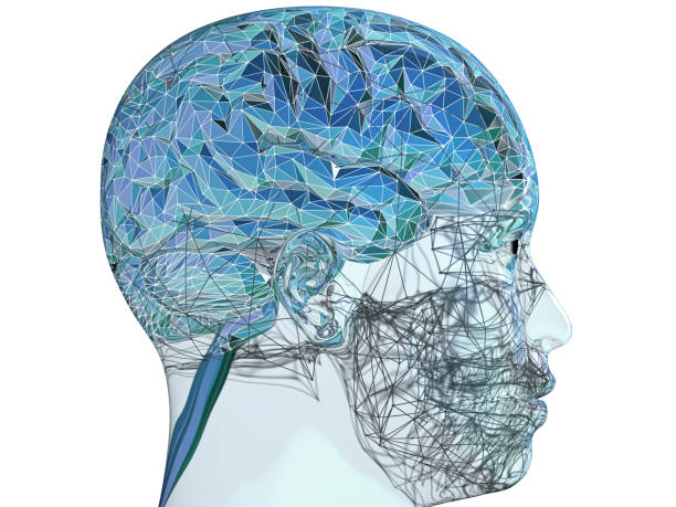 istock 3d Illustration of a transparent human refractive skull with colorful polygon styled brain 969234648