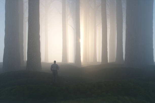 verlorene geschäftsmann in nebligen dunklen wald - contemplation silhouette tree men stock-fotos und bilder