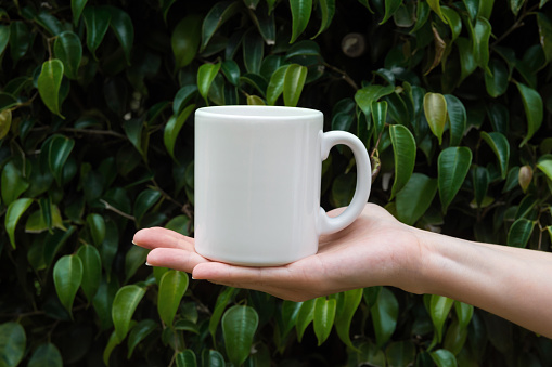 Young Caucasian Woman Holding in Hand White Mockup Mug on Green Tree Foliage Nature Background in Forest. Space for Lettering Artwork Product Branding. Eco Organic Hipster Style.