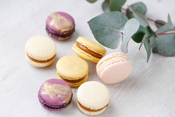 istock French macaroon dessert and flowers eucalyptus on a white background. pastel colors 969243304