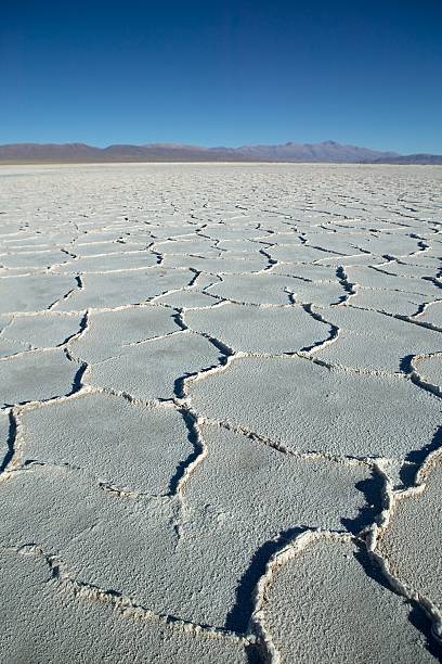 istock Desiccated Salt Lake 96924562
