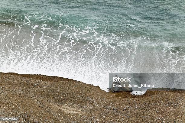 Copulating Couple Of Elephant Seals On The Beach Stock Photo - Download Image Now - Animal, Animal Wildlife, Animals In The Wild