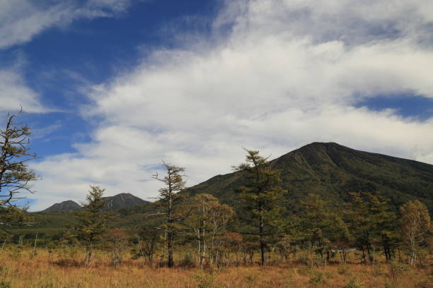 les marais odashirogahara oku-nikko, préfecture de tochigi, japon - nikko asia japan natural landmark photos et images de collection