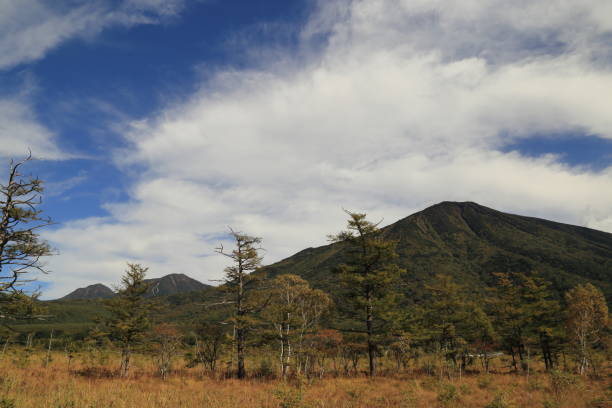 марш одаширогахара в оку-никко, префектура тотиги, япония - nikko asia japan natural landmark стоковые фото и изображения