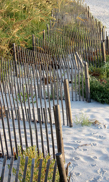 zaun in sand dune bei sonnenaufgang - sand sea oat grass beach sand dune stock-fotos und bilder