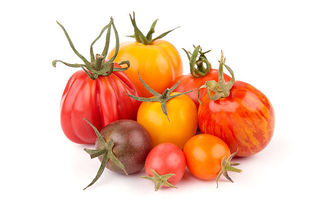 variação de tomates suculentos (xxxl - tomato heirloom tomato vegetable isolated - fotografias e filmes do acervo