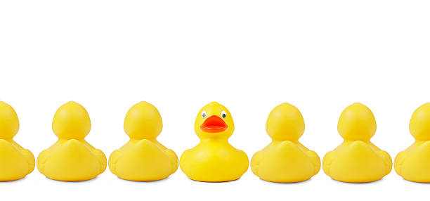 Stick Out Against The Stream Yellow rubber ducks in a row. An indivudalist is sticking out the crowd. Clipping path included. ducks in a row concept stock pictures, royalty-free photos & images