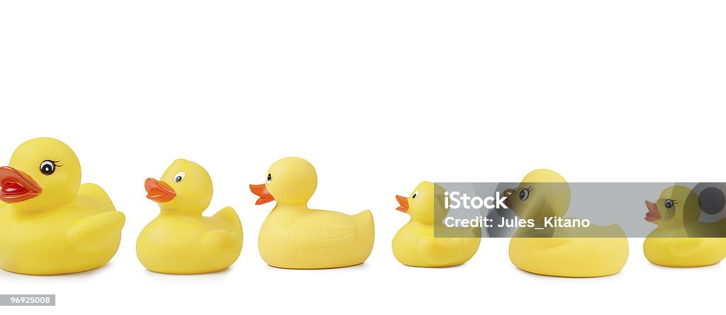 Rubber Duck Line Line of cute rubber ducks and ducklings, isolated on white background. Clipping path included. Animal Stock Photo