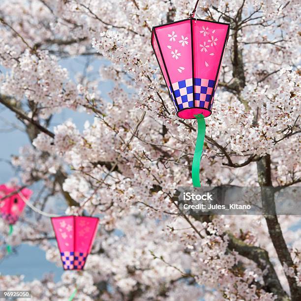 Różowy Lampionów Na Kwiat Wiśni - zdjęcia stockowe i więcej obrazów Azja - Azja, Bez ludzi, Bezchmurne niebo