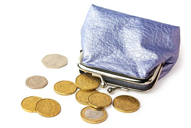 istock Purse with pocket money isolated on white background 96925761