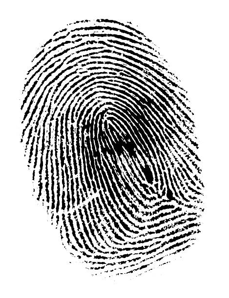 dedo de impressão - thumbprint imagens e fotografias de stock