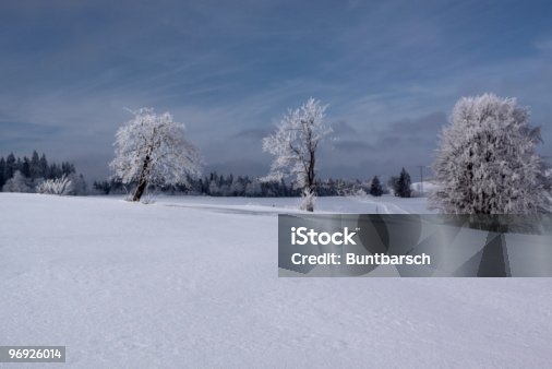 istock winterdream in Thuringia 96926014