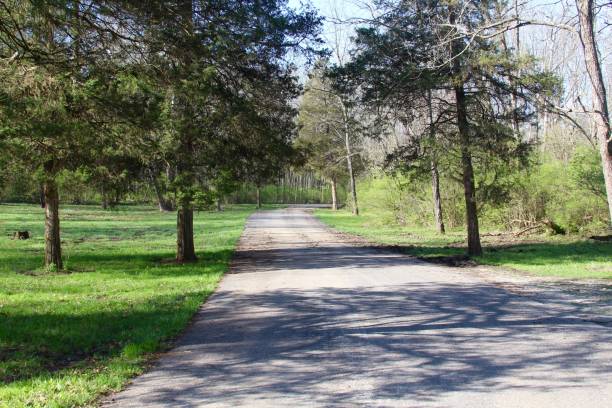 istock Narrow Country Road 969269116