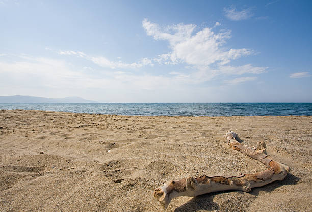 Na cretan beach – zdjęcie