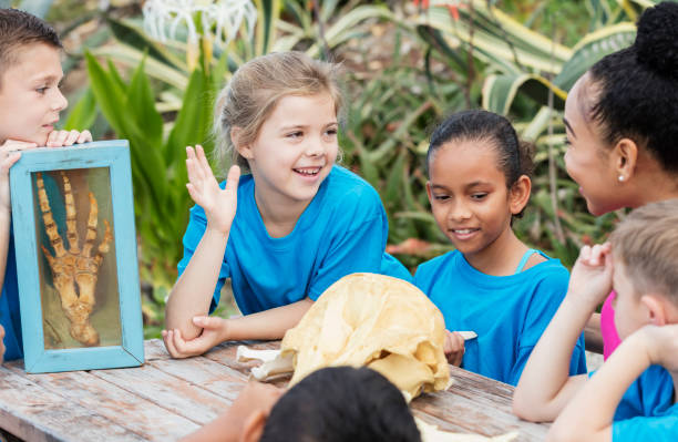 enfants, enseignants, leçon de science avec des os d’animaux - colonie danimaux photos et images de collection