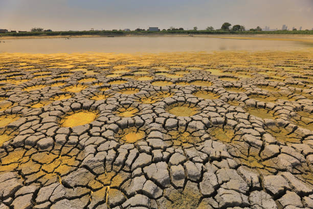 istock desert with wet place on it,  Tai Sang Wai 969290858