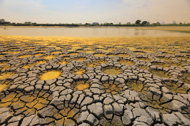 istock desert with wet place on it,  Tai Sang Wai 969290880