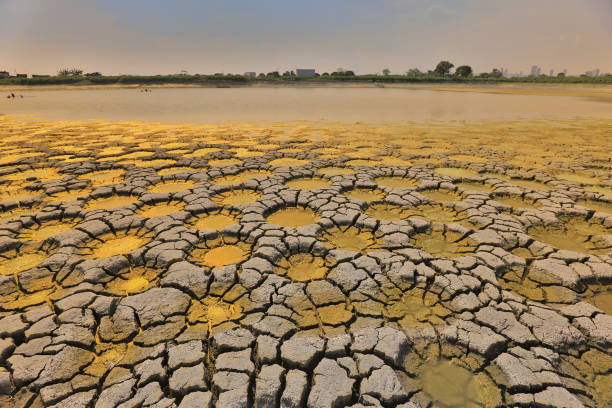 istock desert with wet place on it,  Tai Sang Wai 969290884