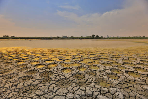 istock desert with wet place on it,  Tai Sang Wai 969290920