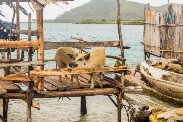 istock san Blas islands in Panama 969291220