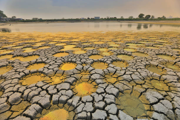 istock desert with wet place on it,  Tai Sang Wai 969291240