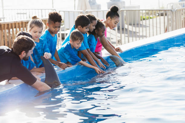 istock Children on field trip, dolphin, trainer at marine park 969291344