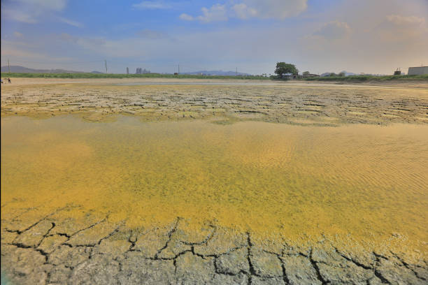 a desert with wet place on it,  Tai Sang Wai
