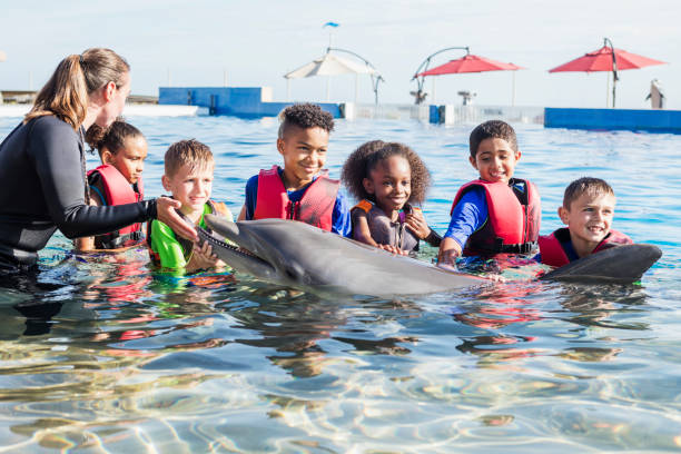 istock Children and trainer in water petting dolphin 969293688