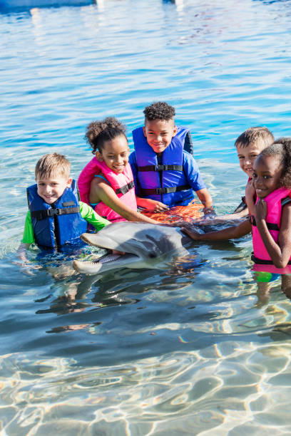 istock Multi-ethnic children standing in water petting dolphin 969293732