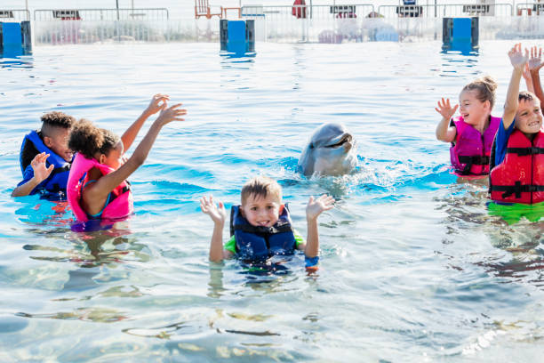 istock Multi-ethnic children playing in water with dolphin 969293734