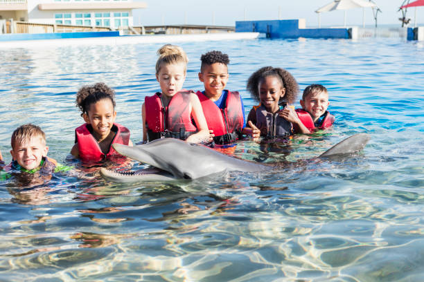 istock Multi-ethnic children playing in water with dolphin 969293738