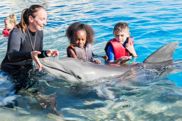 istock Children and trainer in water petting dolphin 969293920