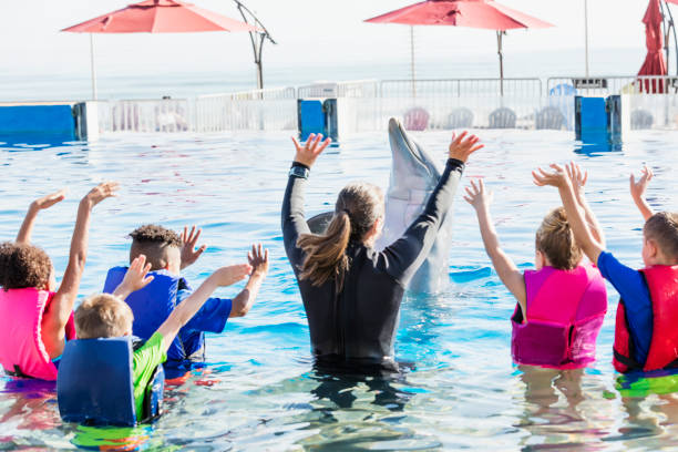 istock Children and trainer in water playing with dolphin 969294062