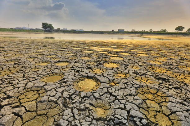 istock desert with wet place on it,  Tai Sang Wai 969294488
