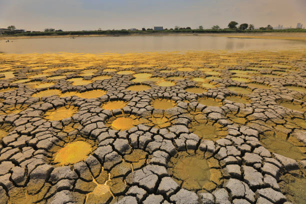 istock desert with wet place on it,  Tai Sang Wai 969294722