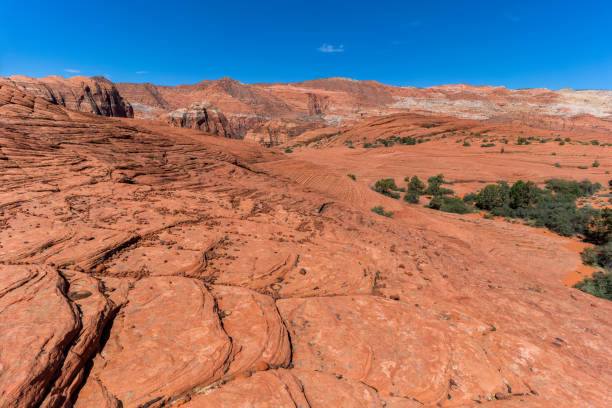 Petrified Sand Dunes in Southern Utah In Snow Canyon State Park near St George Utah, a dramatic landscape of red rock sandstone rises above the valley floor. snow canyon state park stock pictures, royalty-free photos & images