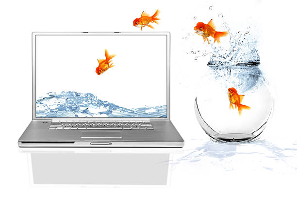 Goldfish jumping from small bowl to laptop screen stock photo