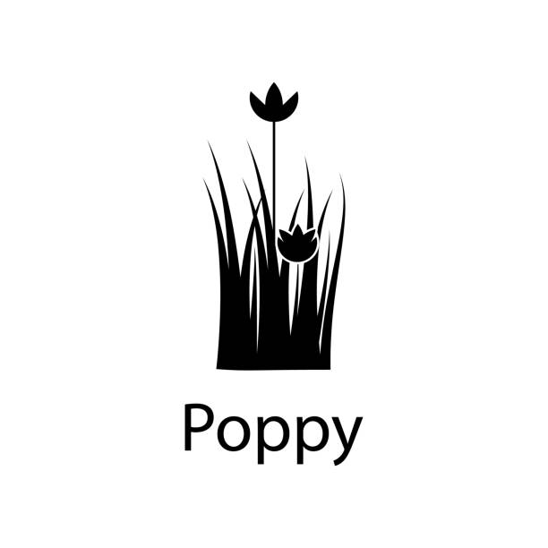 poppy abbildung. element der pflanze symbol für mobile konzept und web-apps. detaillierte darstellung der mohn für web und mobil einsetzbar - red pattern poppy plant stock-grafiken, -clipart, -cartoons und -symbole