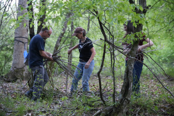 istock Teamwork Friends Camping Gathering Firewood Sticks in Forest 969311118