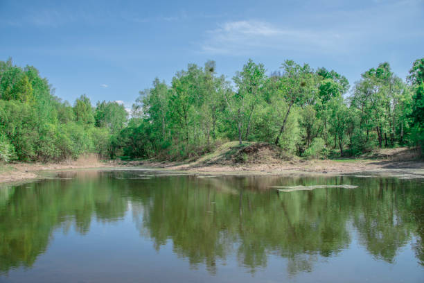 istock Spring, landscape with lake, green trees and blue sky with white clouds 969324484