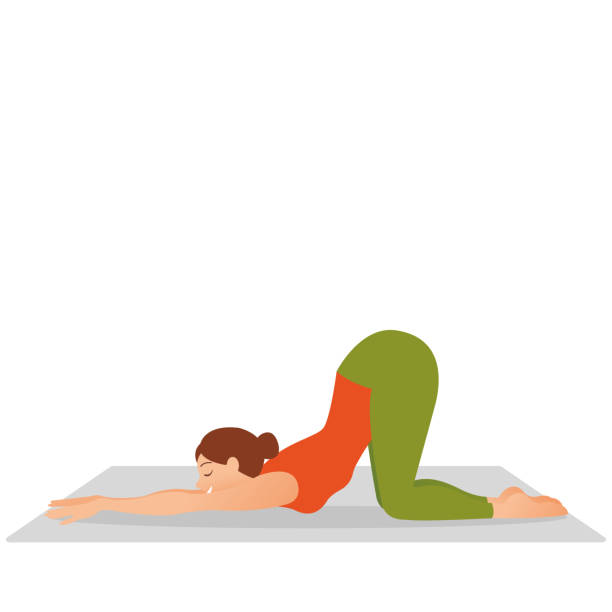 Yoga. Woman Meditating illustration Beautiful young woman, doing yoga or pilates exercise. Cow, Bitilasana, asana paired with Cat Pose on the exhale. Full length. Bidalasana cat pose yoga woman posture position in silhouette on studio white background. Young indonesian woman meditating, doing yoga pose and asana. Fitness girl enjoying yoga indoors in sport clothes, working out in gym class. Health and healing concept. Flat icon eps10 illustration vector art cat pose yoga stock illustrations