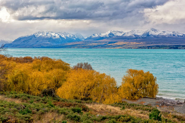 istock The Mount Cook with the Lake Pukaki 969338156