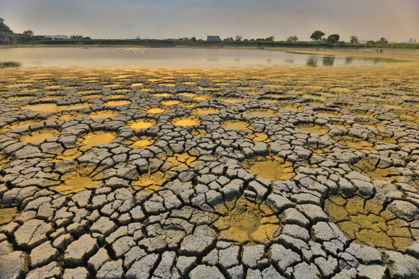 istock desert with wet place on it,  Tai Sang Wai 969338272